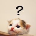 【チャット顧問】Q&A